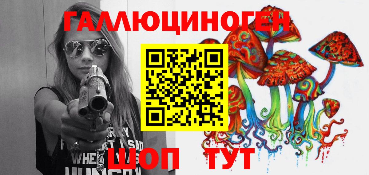 Кизляр  Галлюциногенные грибы Psilocybine cubensis  Вход с VPN 